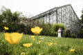 Hochzeitsfotografie Reportage im Normannenhaus mit Brautpaarshooting im Botanischen Garten