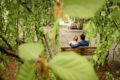 Hochzeitsfotografie Reportage im Normannenhaus mit Brautpaarshooting im Botanischen Garten