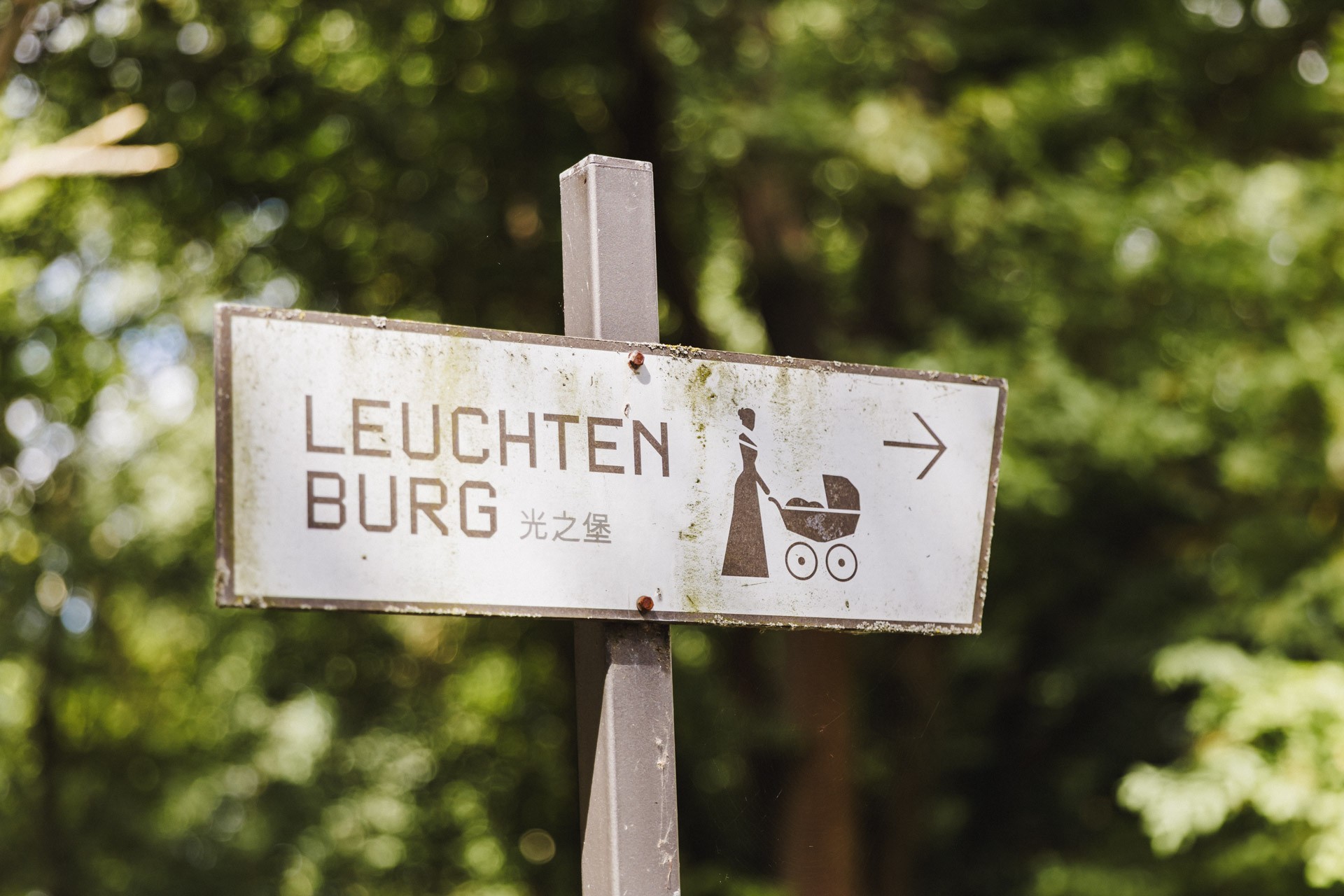Hochzeit in Thüringen, Hochzeitsfotograf Andreas Balg aus Thüringen, Weddingfotografie Weissenburg und Leuchtenburg
