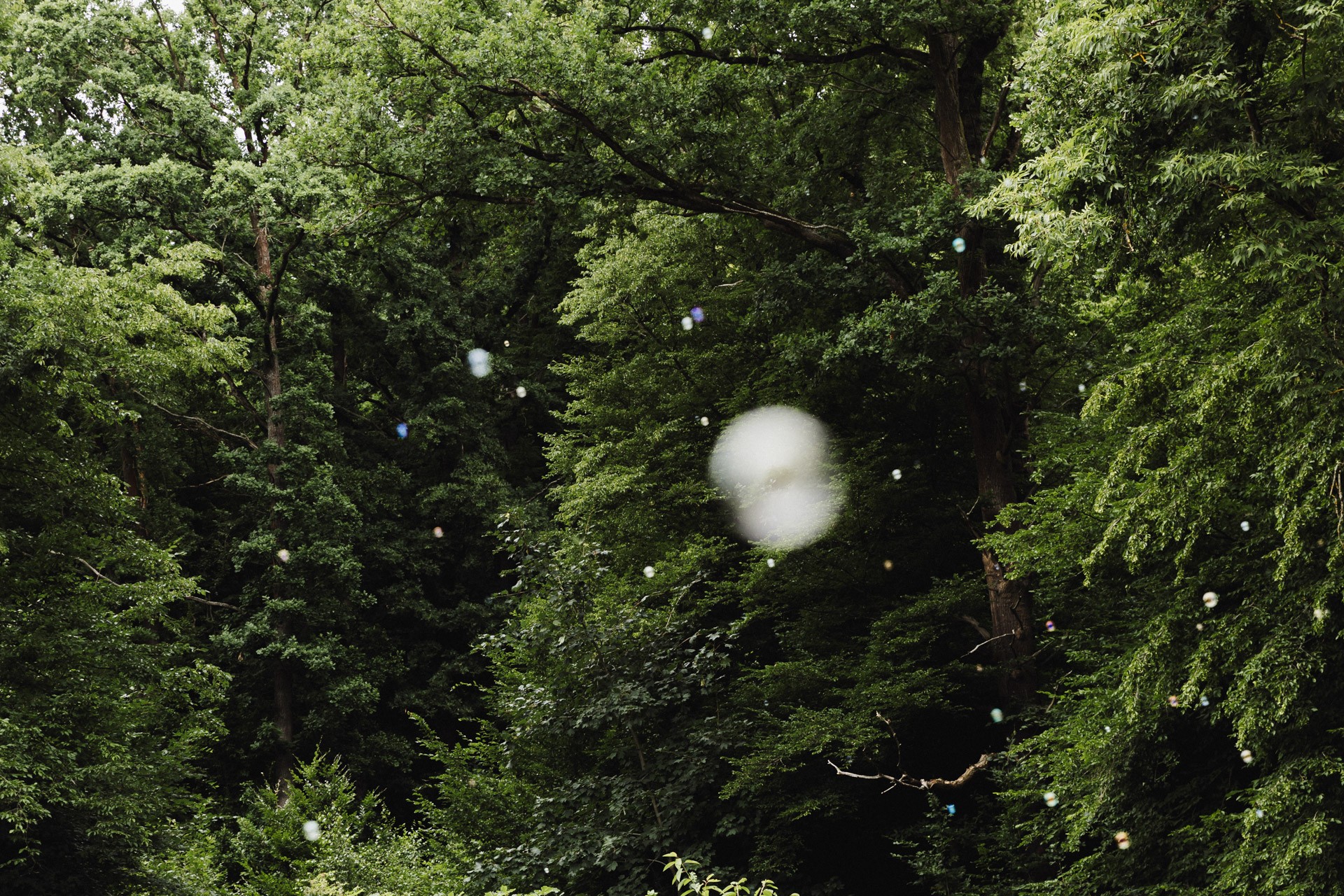 Hochzeitsfoto einer Hochzeitsreportage in der Schössersmühle in Thüringen, fotografiert vom Hochzeitsfotograf Andreas Balg, www.bilderdiesprechen.de