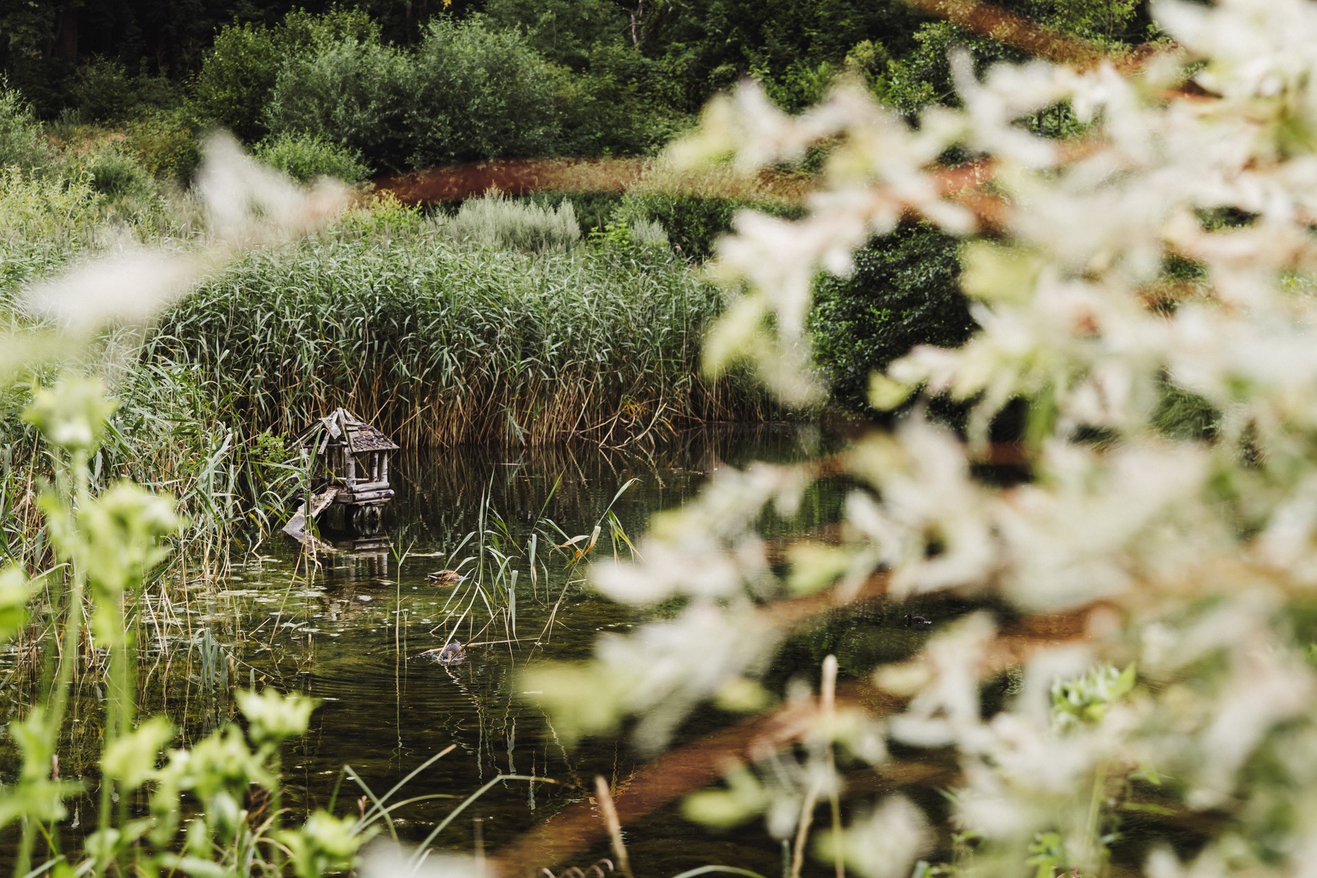 Hochzeitsfoto einer Hochzeitsreportage in der Schössersmühle in Thüringen, fotografiert vom Hochzeitsfotograf Andreas Balg, www.bilderdiesprechen.de