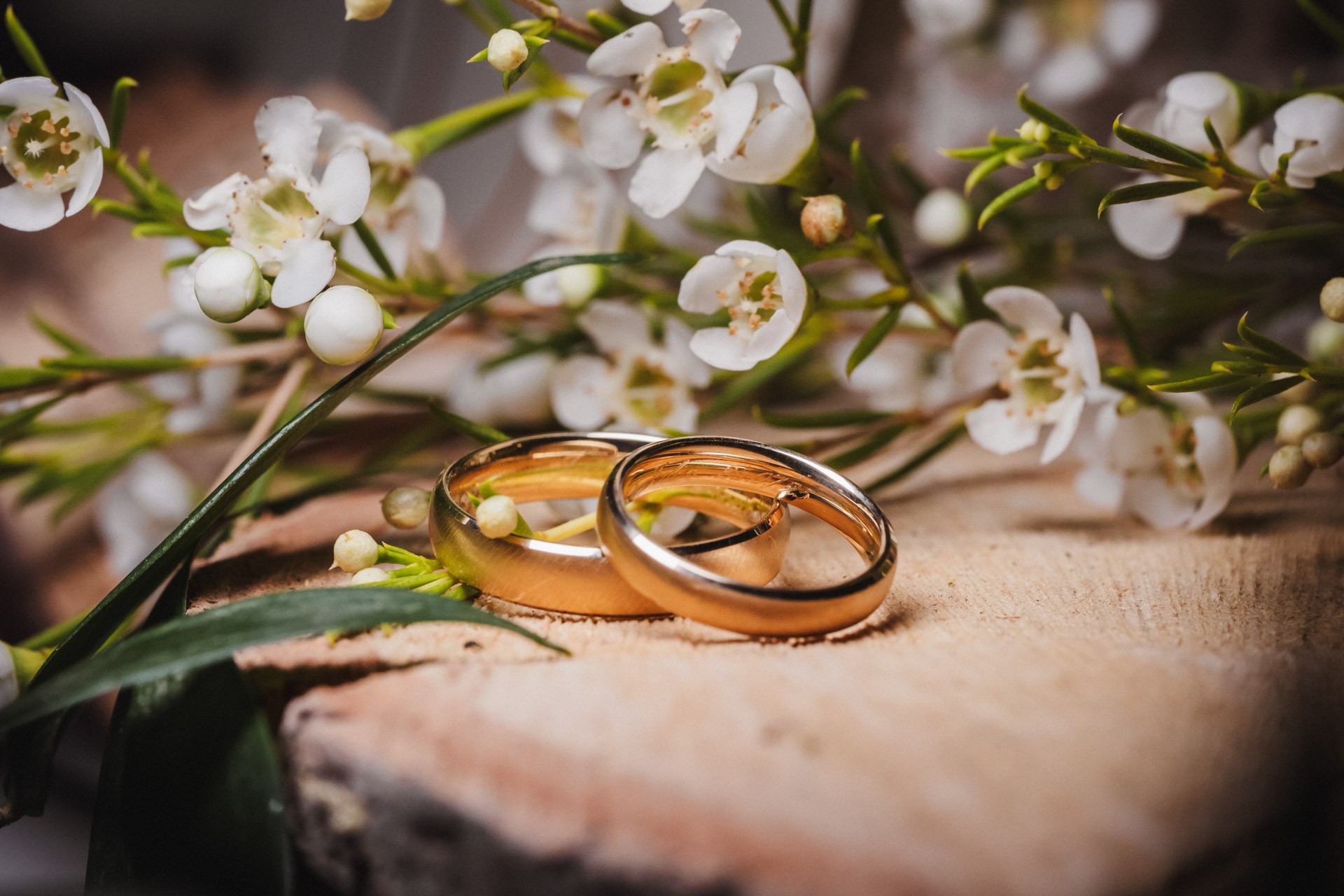 Hochzeitsfoto einer Hochzeitsreportage in der Schössersmühle in Thüringen, fotografiert vom Hochzeitsfotograf Andreas Balg, www.bilderdiesprechen.de